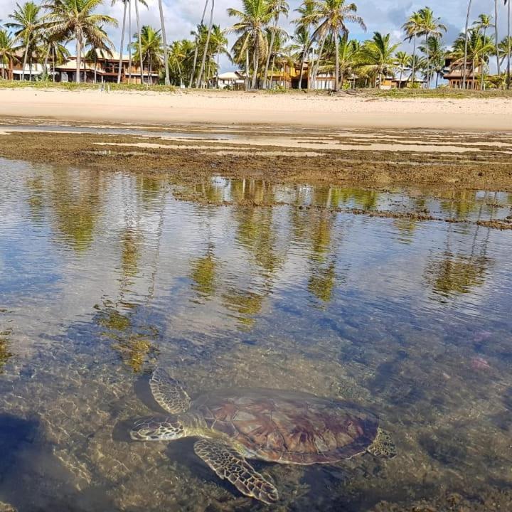 Apart Para Ate 6 Pessoas - Pf Praia do Forte Eksteriør bilde